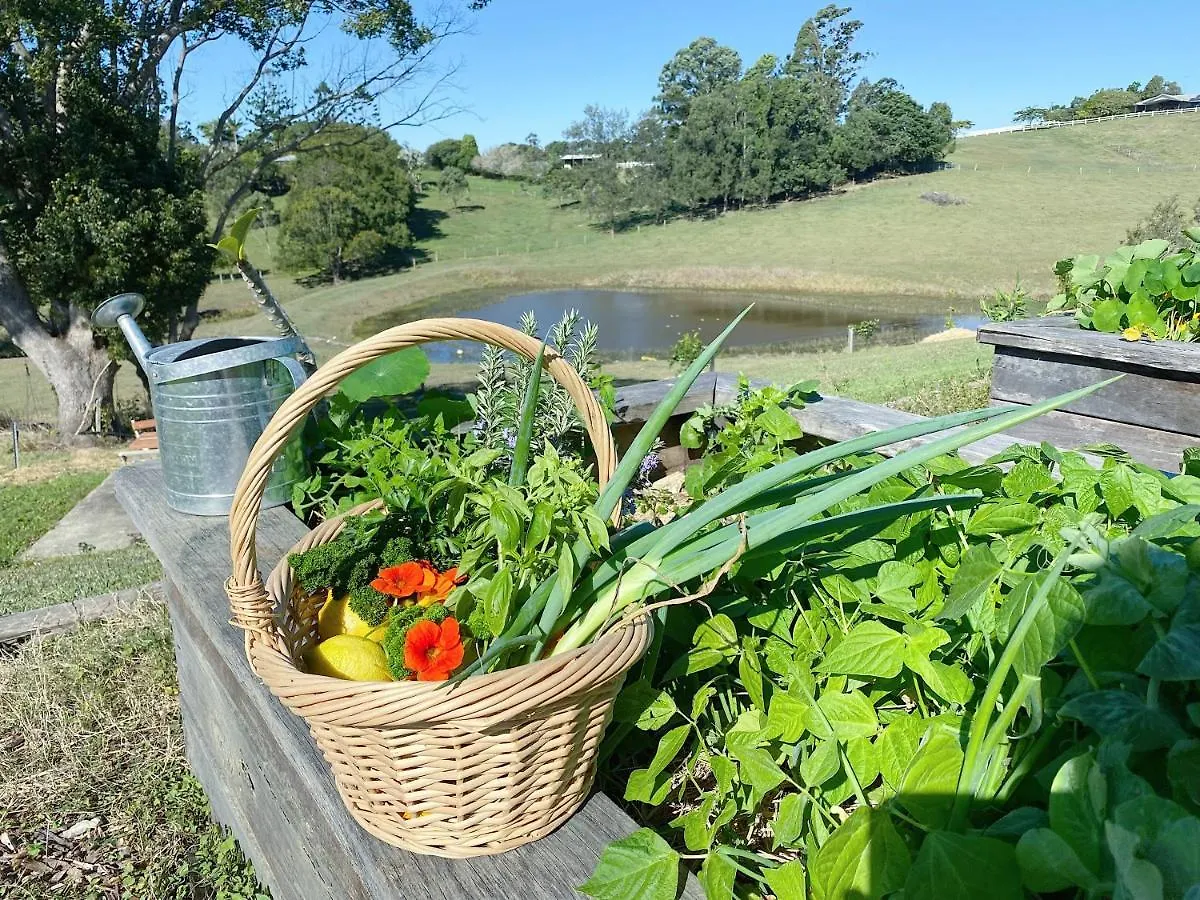 Sunshine Coast Hinterland Farm Stay Cooroy 오스트레일리아